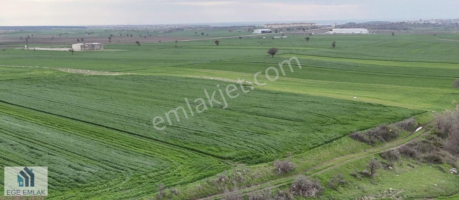 Ege Emlak'tan Enez Yenice Köyü Yatırımlık Muhteşem Arazi