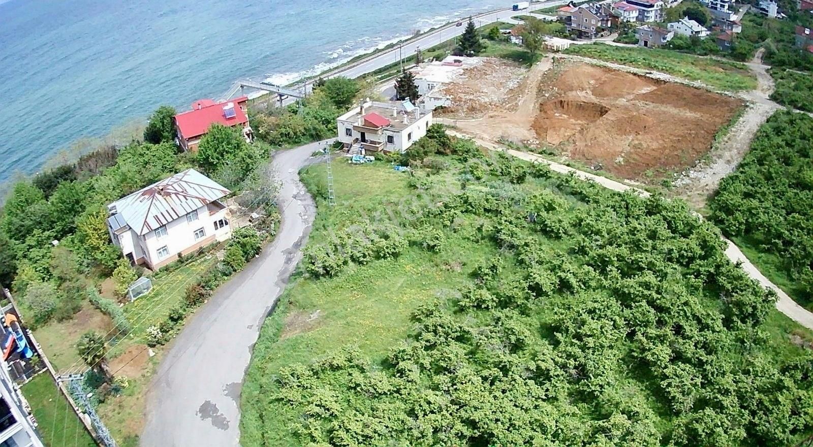Talipli Köyünde 397 M2 Satılık İmarlı Arsa