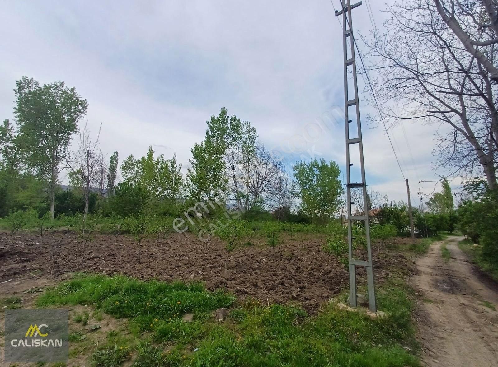Büyükyıldız'da Kanal Altında Satılık Tek Tapu 1270 M2 Tarla