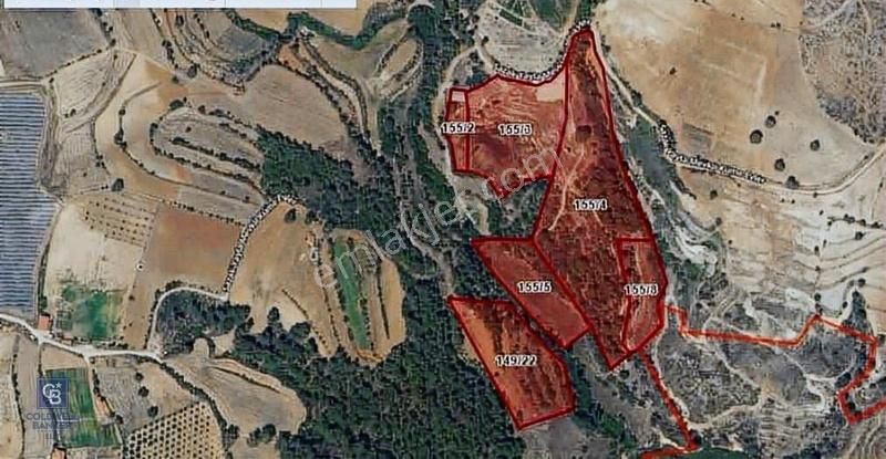Muğla Kavaklıdere 55 Dönüm Satılık Tarla