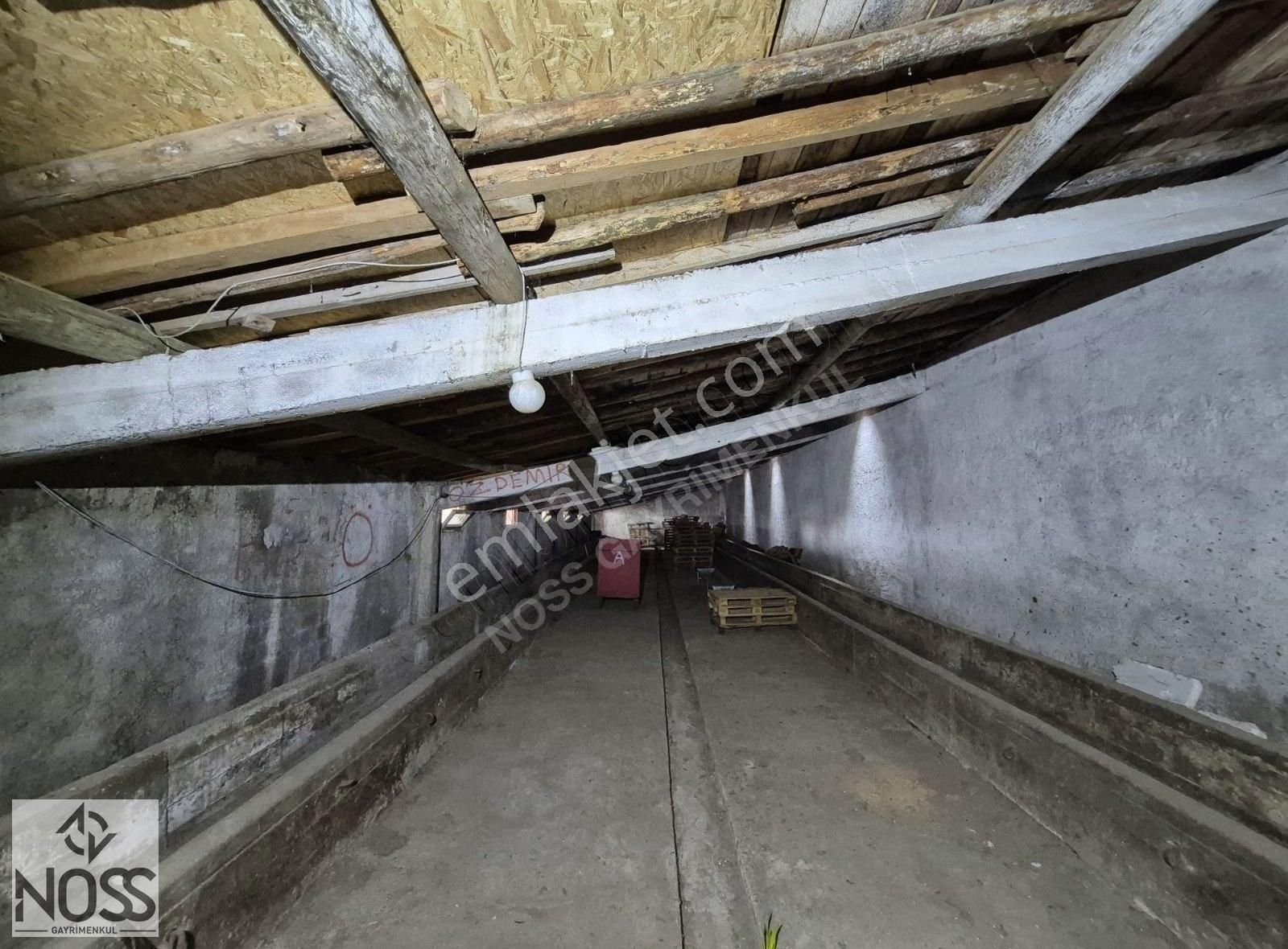 Alınca Mah. 7+1(800m²) Müstakil Ev