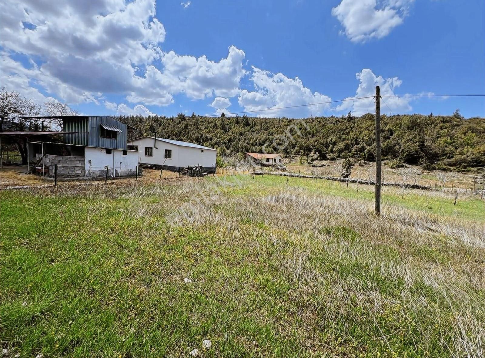 Feke Paşalı'da*2827 M2*arsa Ve Ev*tek Tapulu*konut İmarlı***