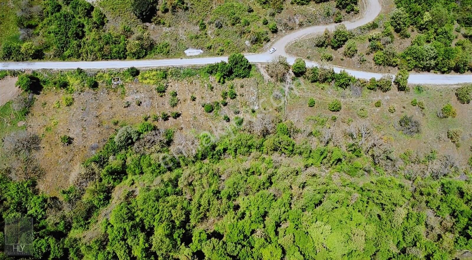 Hly Gayrimenkul'den Odalıdam Mahallesinde 6.250 M2 Satılık Tarla
