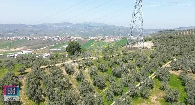 Mürsel Fırsat Arsa