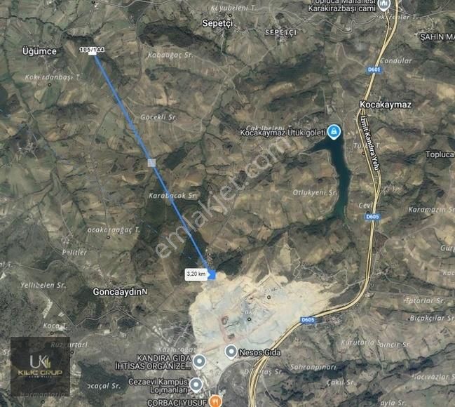 Kandıra Üğümce'de Satılık Fındıklık