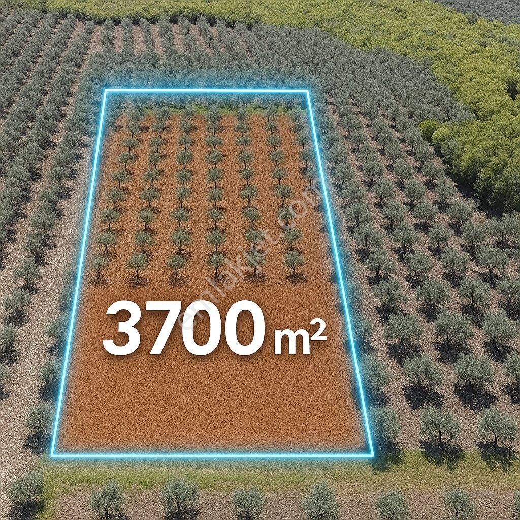 Dialog Leo’dan Satılık Mürselköy’de Yatırıma Uygun Fırsat Arazi
