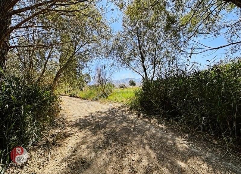 Antalya Korkuteli Yeleme Mahallesi'nde Satılık 1.635m2 Tarla - Görsel 5