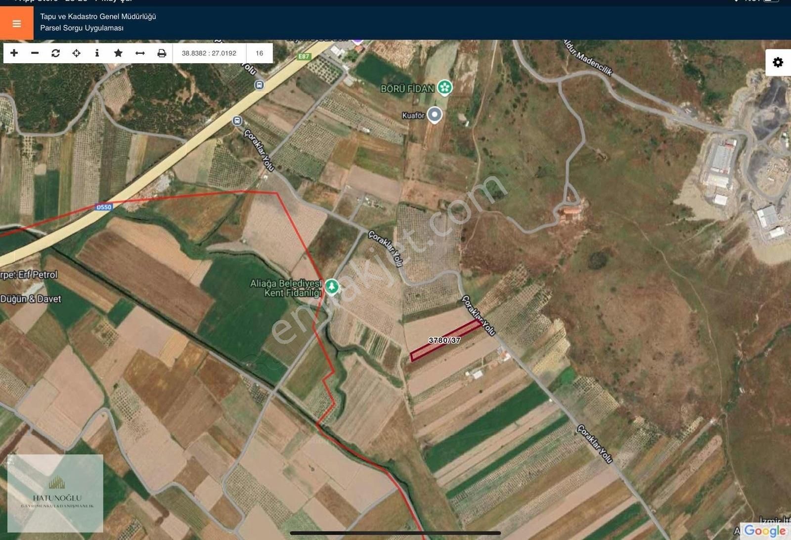 Hatunoğlu'ndan Satılık Çaltılıdere'de 4236m2 Yol Üstü Zeytinlik