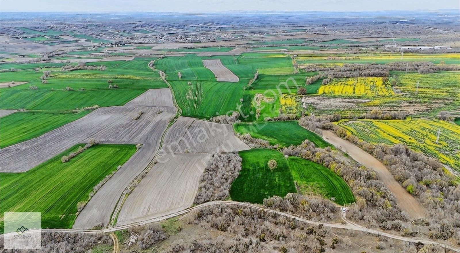 Babaeski Çavuşköyde 4420 M2 Orman Cephe Köye Yakın Satılık Tarla