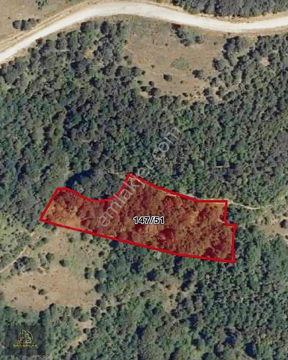 Yenişehir Kıblepınarda 3573m2 Satılık Tarla