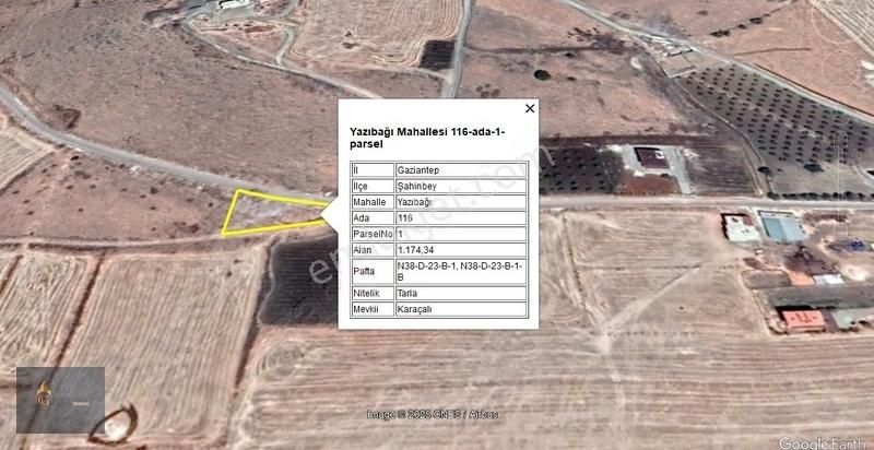Burç Yazıbağın'da Satlık Fırsat 1170m^ Tek Tapu Asvalt Üzeri