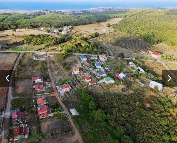 Hcb"den Kandıra Çamkonak Köyü Satılık Arsa