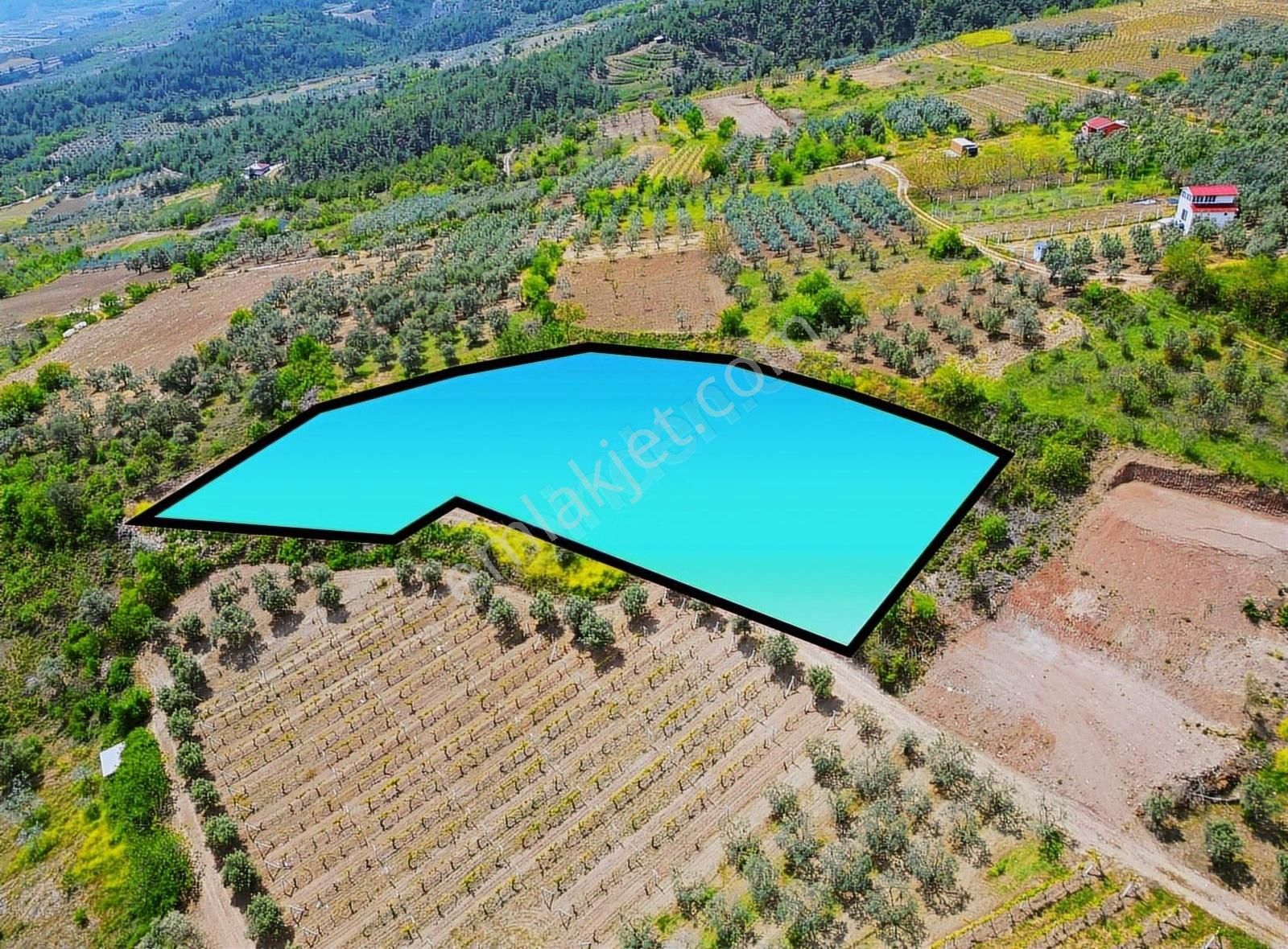 Pınarlı Mahallesinde Huzur Dolu Doğada 2692m² Bağ - Görsel 28