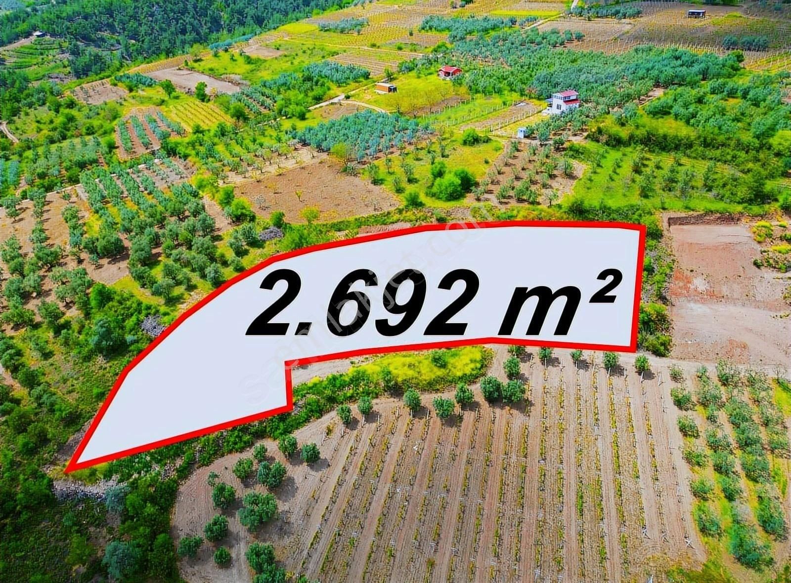 Pınarlı Mahallesinde Huzur Dolu Doğada 2692m² Bağ - Görsel 26