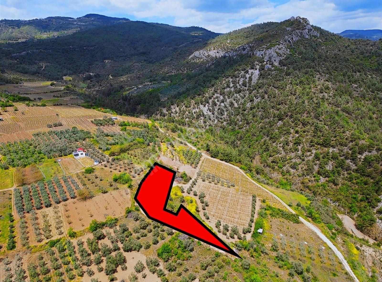 Pınarlı Mahallesinde Huzur Dolu Doğada 2692m² Bağ - Görsel 21