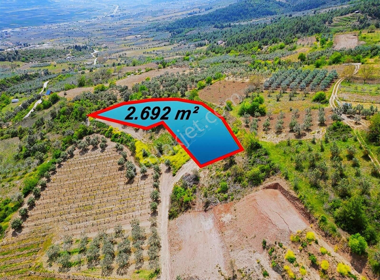 Pınarlı Mahallesinde Huzur Dolu Doğada 2692m² Bağ - Görsel 16