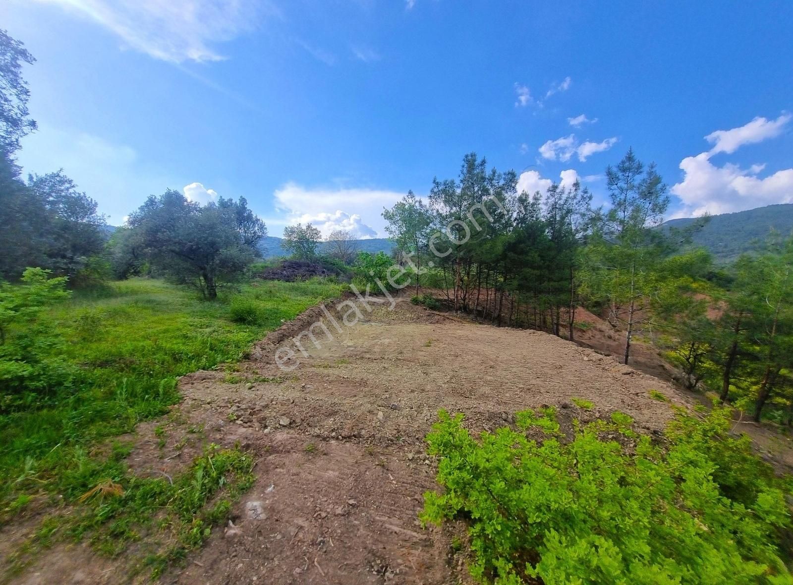 Pınarlı Mahallesinde Huzur Dolu Doğada 2692m² Bağ - Görsel 33