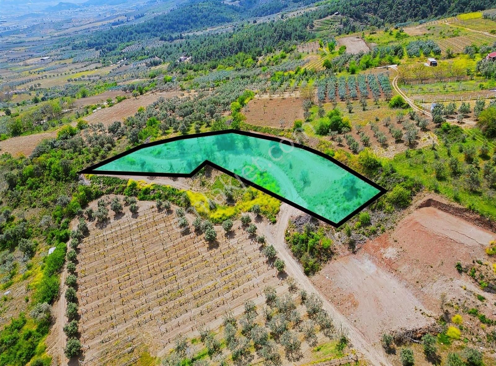 Pınarlı Mahallesinde Huzur Dolu Doğada 2692m² Bağ - Görsel 11