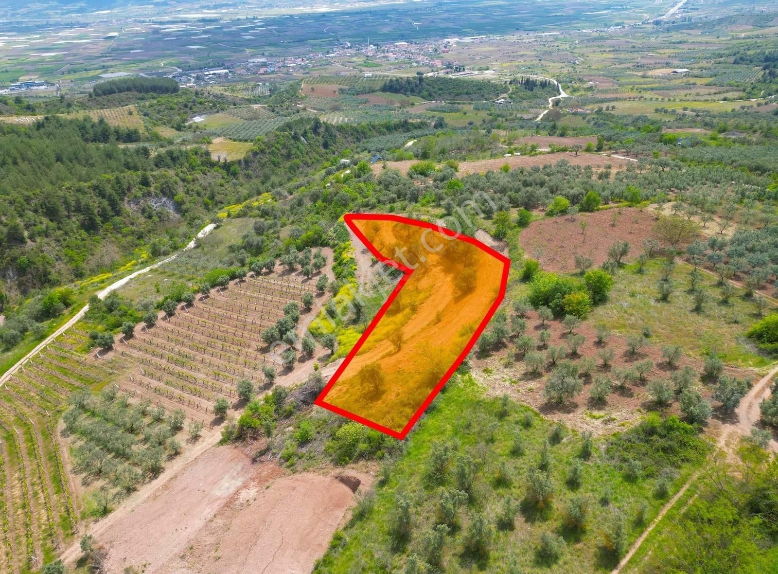 Pınarlı Mahallesinde Huzur Dolu Doğada 2692m² Bağ - Görsel 5