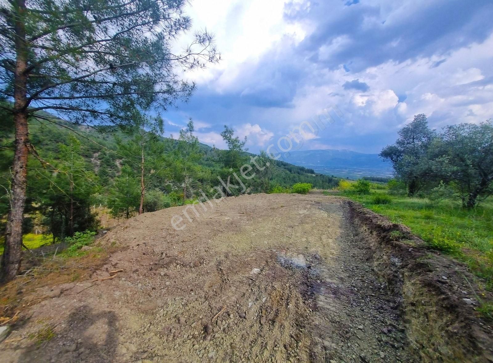 Pınarlı Mahallesinde Huzur Dolu Doğada 2692m² Bağ - Görsel 25