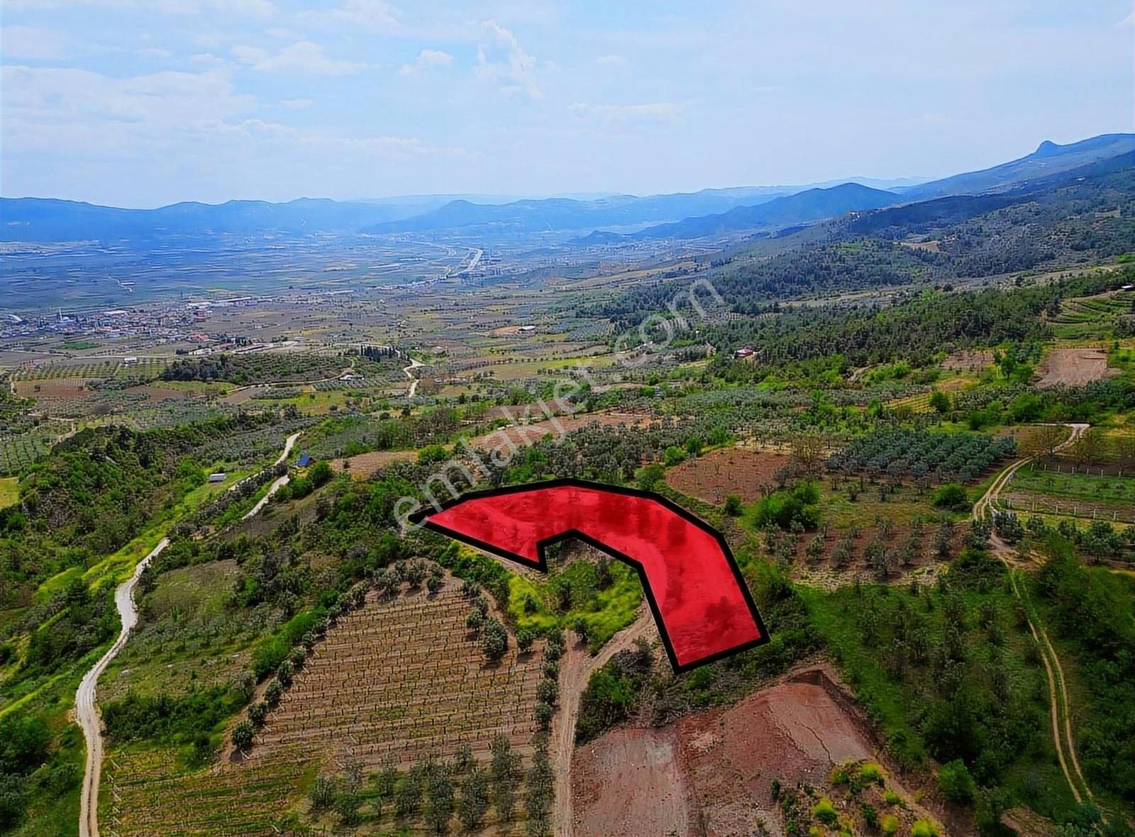 Pınarlı Mahallesinde Huzur Dolu Doğada 2692m² Bağ - Görsel 13