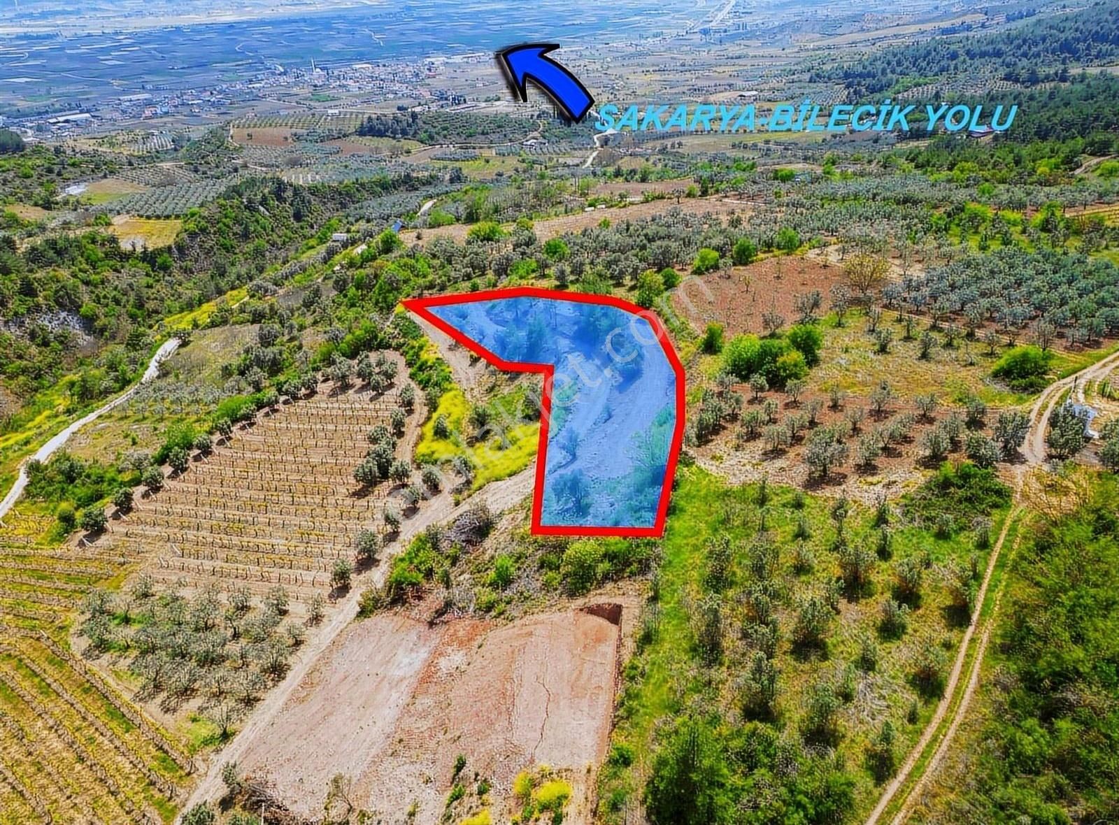 Pınarlı Mahallesinde Huzur Dolu Doğada 2692m² Bağ - Görsel 29