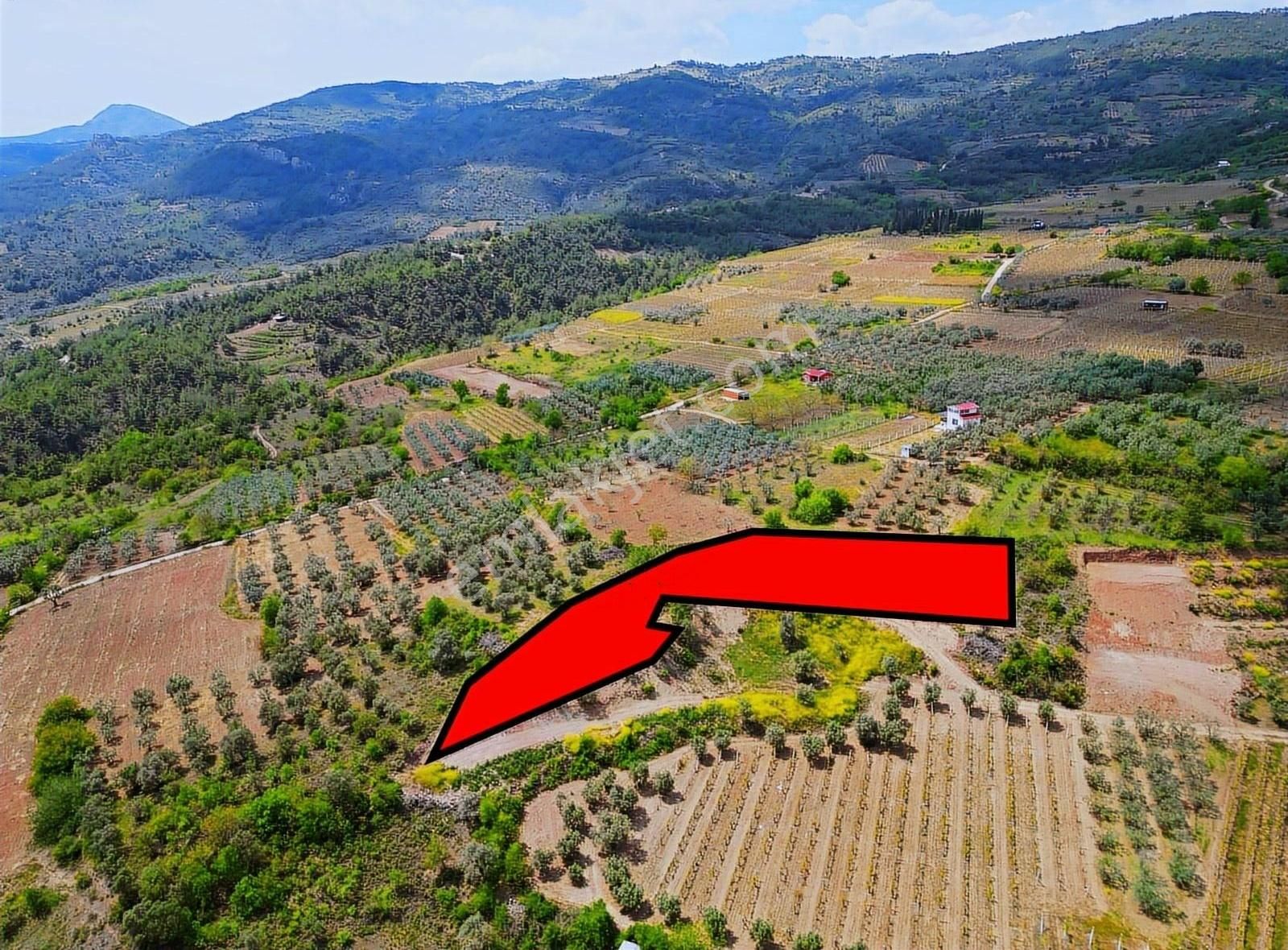 Pınarlı Mahallesinde Huzur Dolu Doğada 2692m² Bağ - Görsel 3