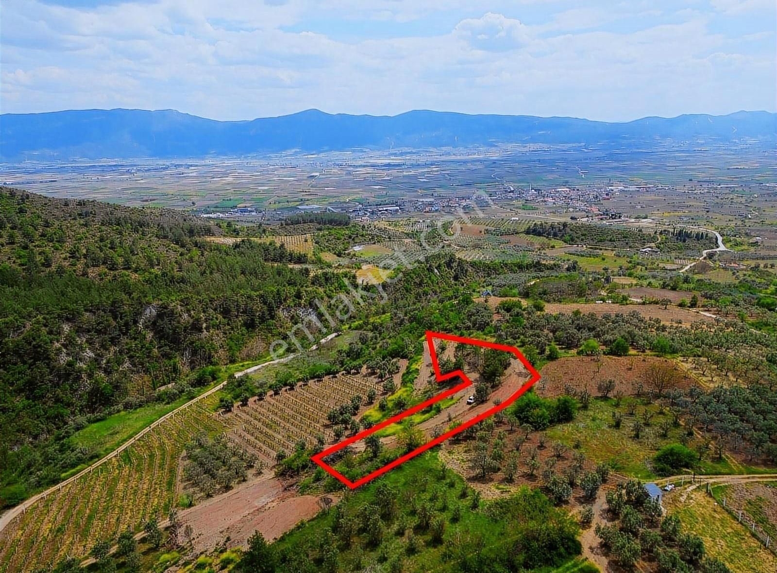 Pınarlı Mahallesinde Huzur Dolu Doğada 2692m² Bağ - Görsel 6