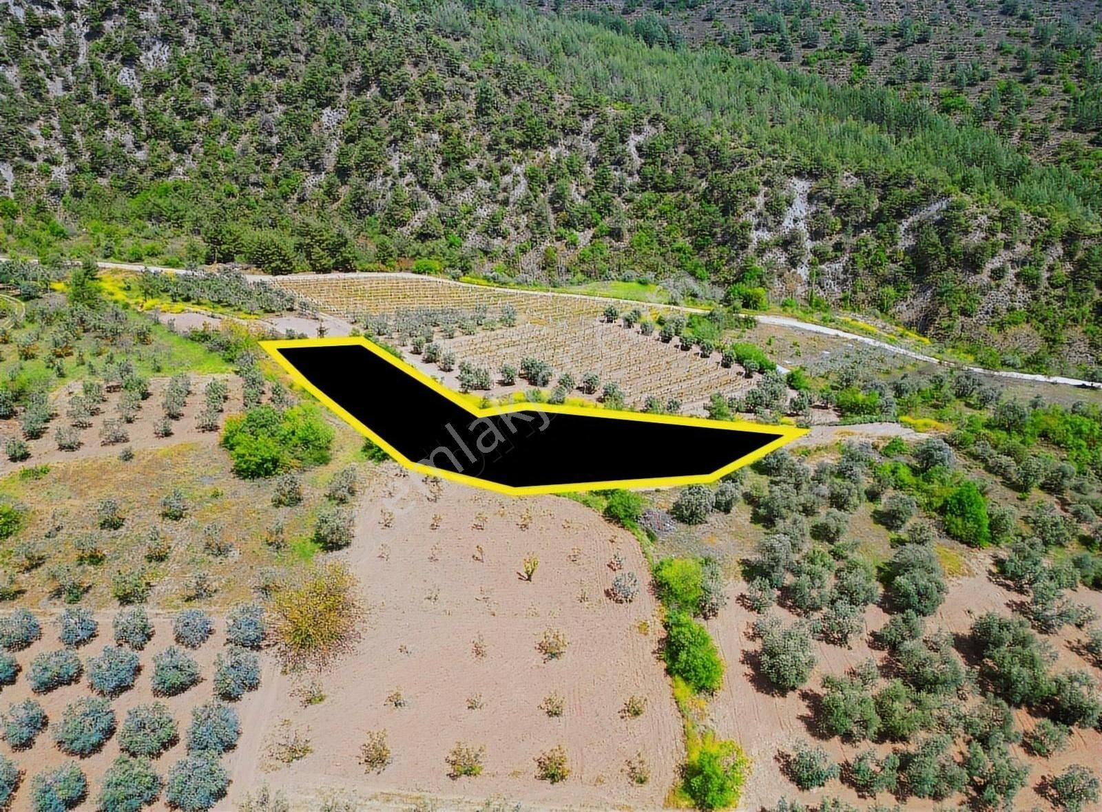 Pınarlı Mahallesinde Huzur Dolu Doğada 2692m² Bağ - Görsel 19