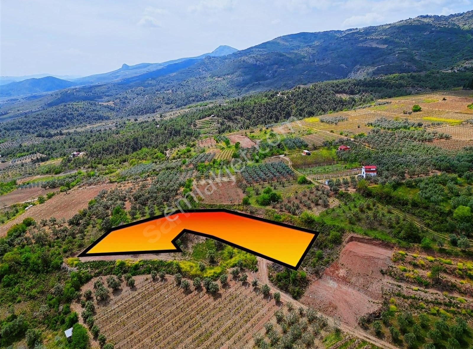 Pınarlı Mahallesinde Huzur Dolu Doğada 2692m² Bağ - Görsel 35