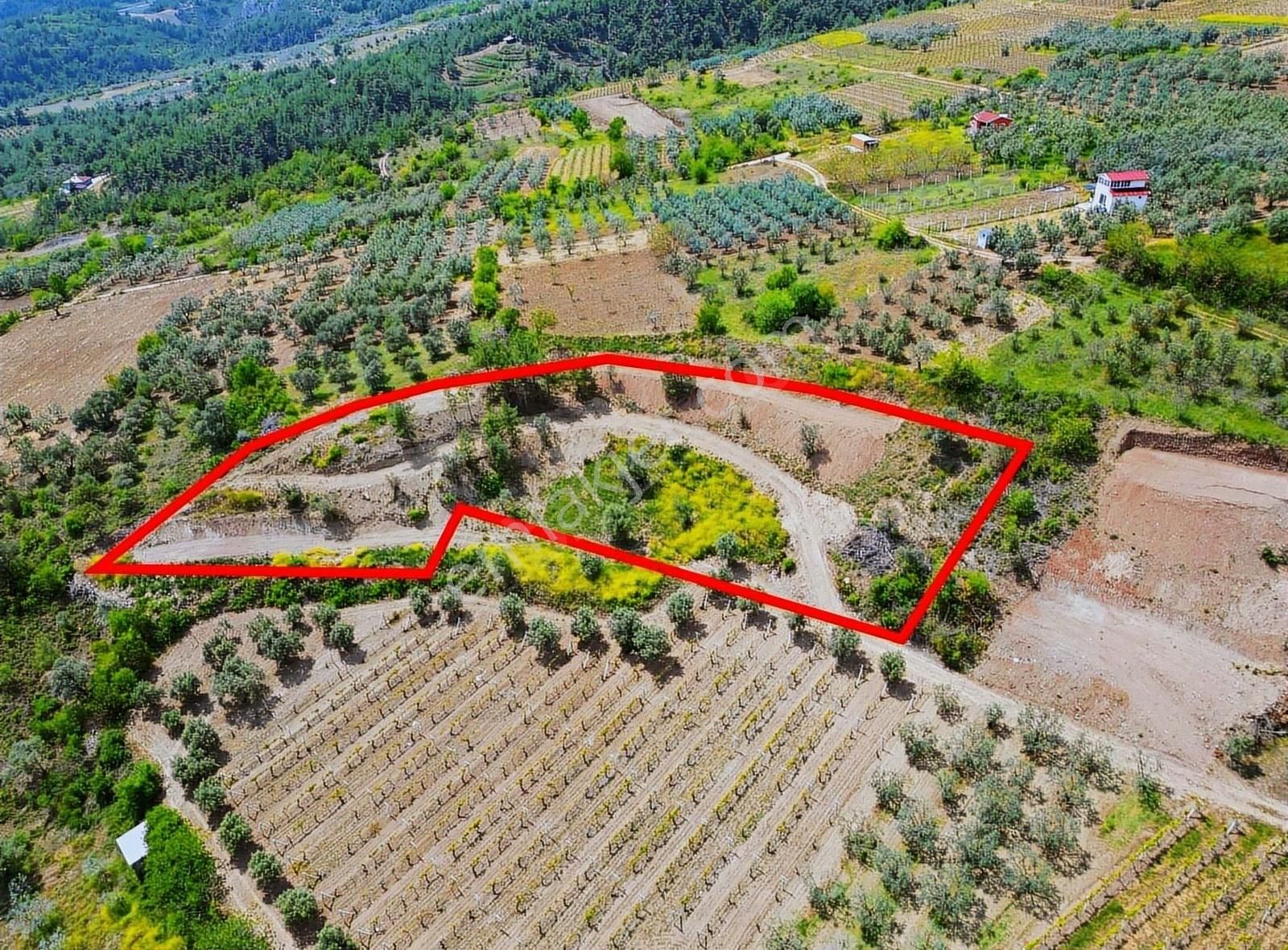 Pınarlı Mahallesinde Huzur Dolu Doğada 2692m² Bağ - Görsel 12