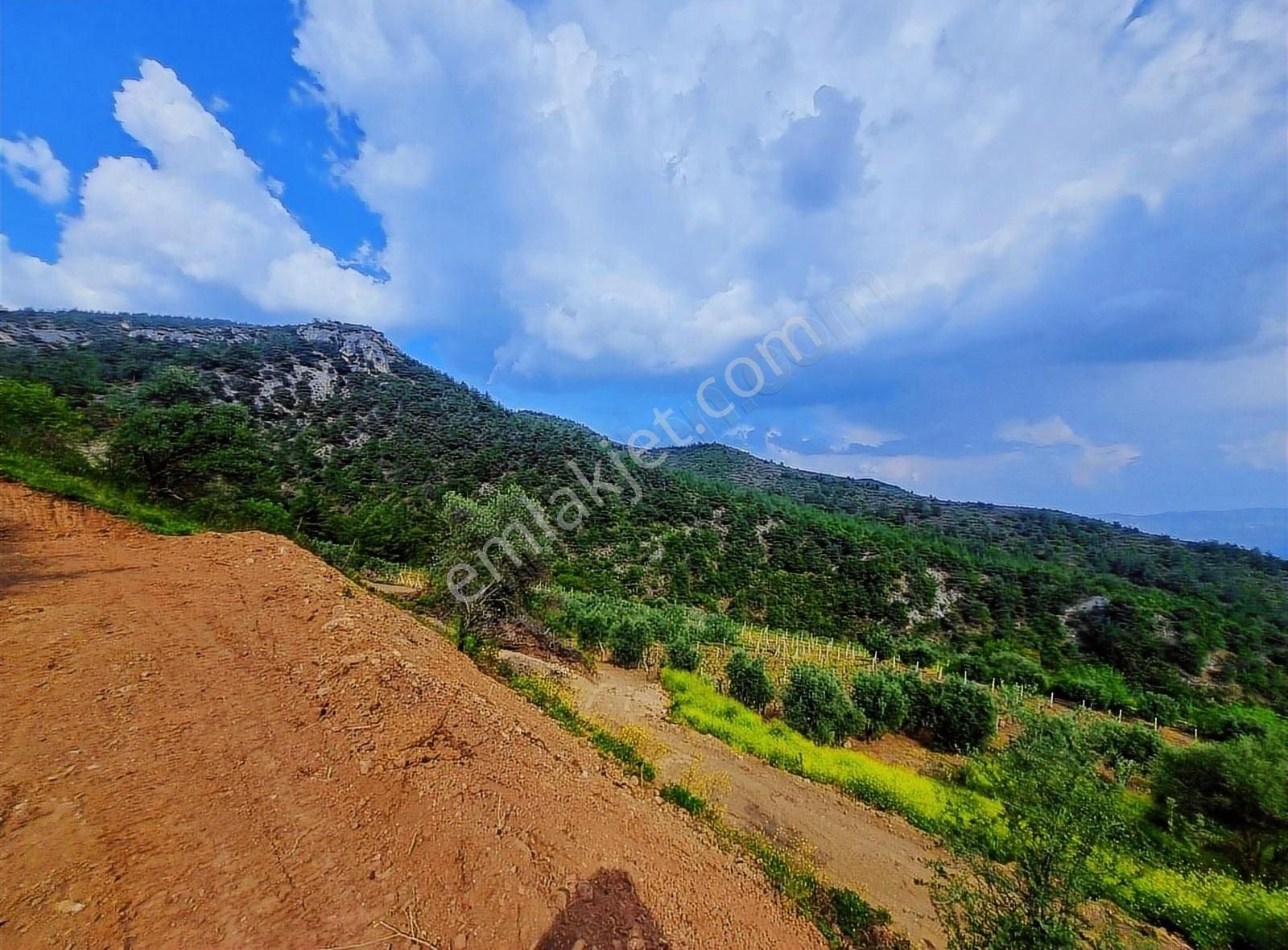 Pınarlı Mahallesinde Huzur Dolu Doğada 2692m² Bağ - Görsel 32