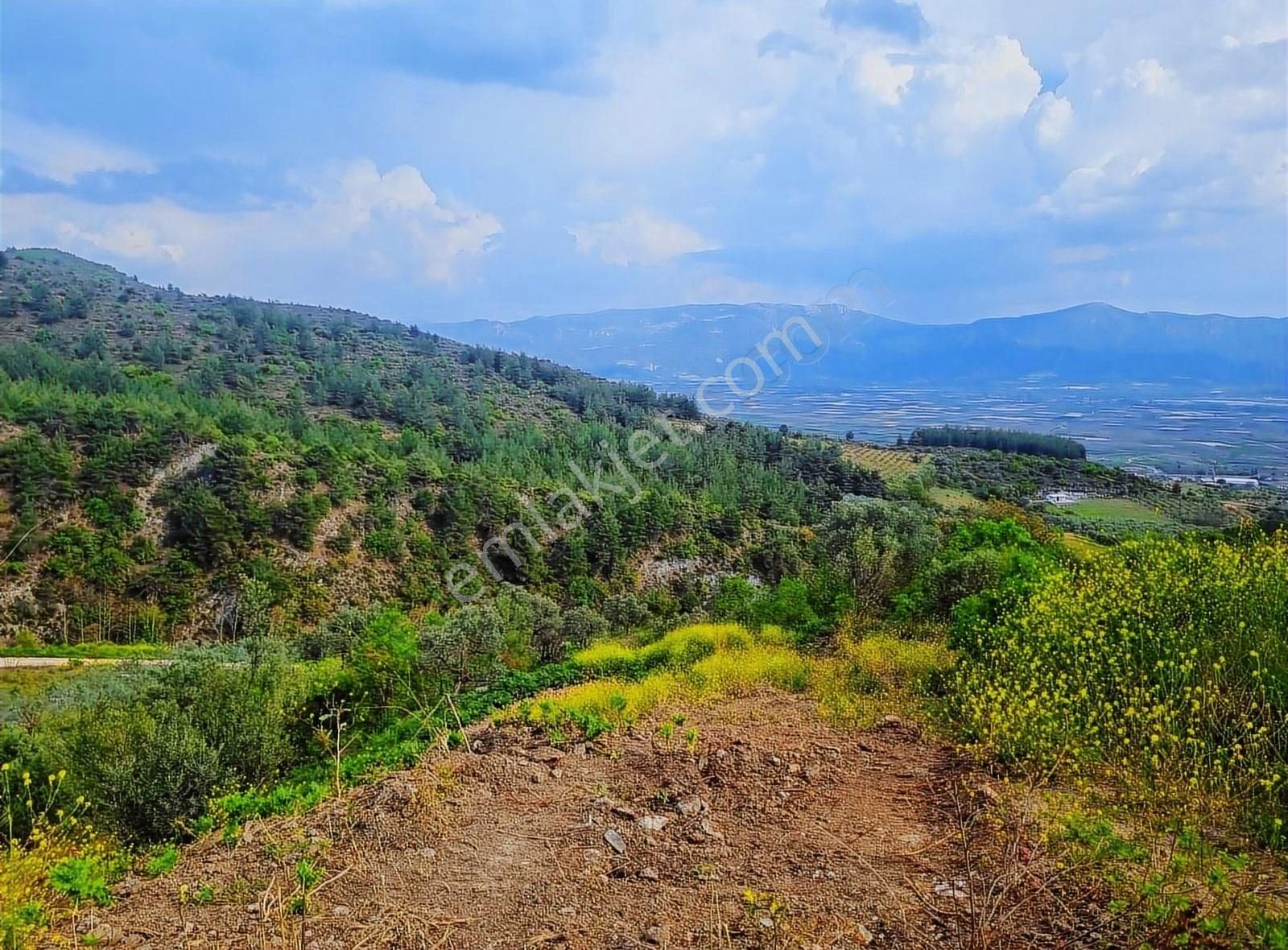 Pınarlı Mahallesinde Huzur Dolu Doğada 2692m² Bağ - Görsel 7