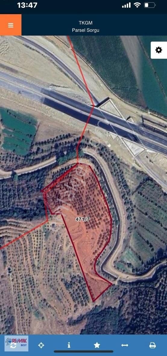 Aydın Kuyucakta 22,5 Dönüm Satılık Zeytinlik
