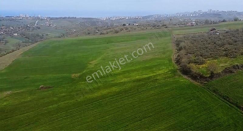 **kamalıda Deniz Manzaralı Yatırımlık Tarla**