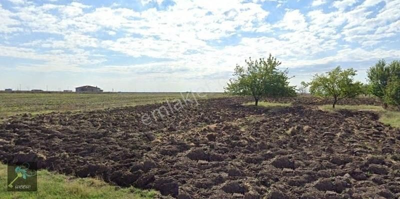 Aşağısevindkli'de Kadastro Yoluna Cephe Kelepir Fiyatlı 4.300m2
