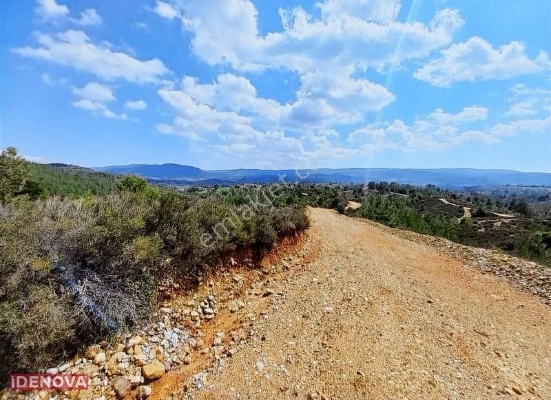 İdenova'dan 12 Dönüm / Yerkesik Yakını / Resmi Yolu Var