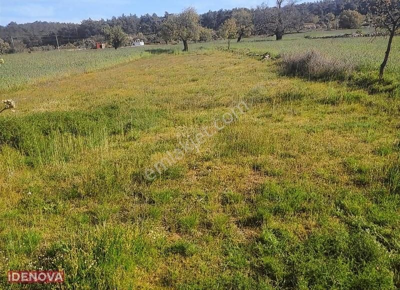 İdenova'dan Fesleğen'de Bodrum Merkeze 1 Saat