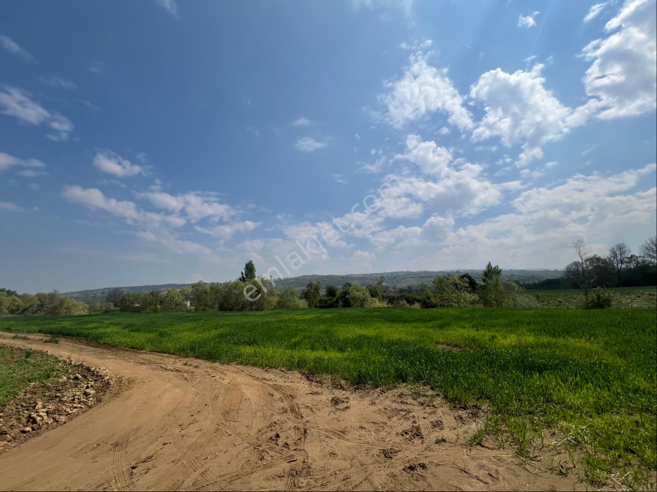 Roma' Dan Kulaca' Da Satılık Tarla - Görsel 7