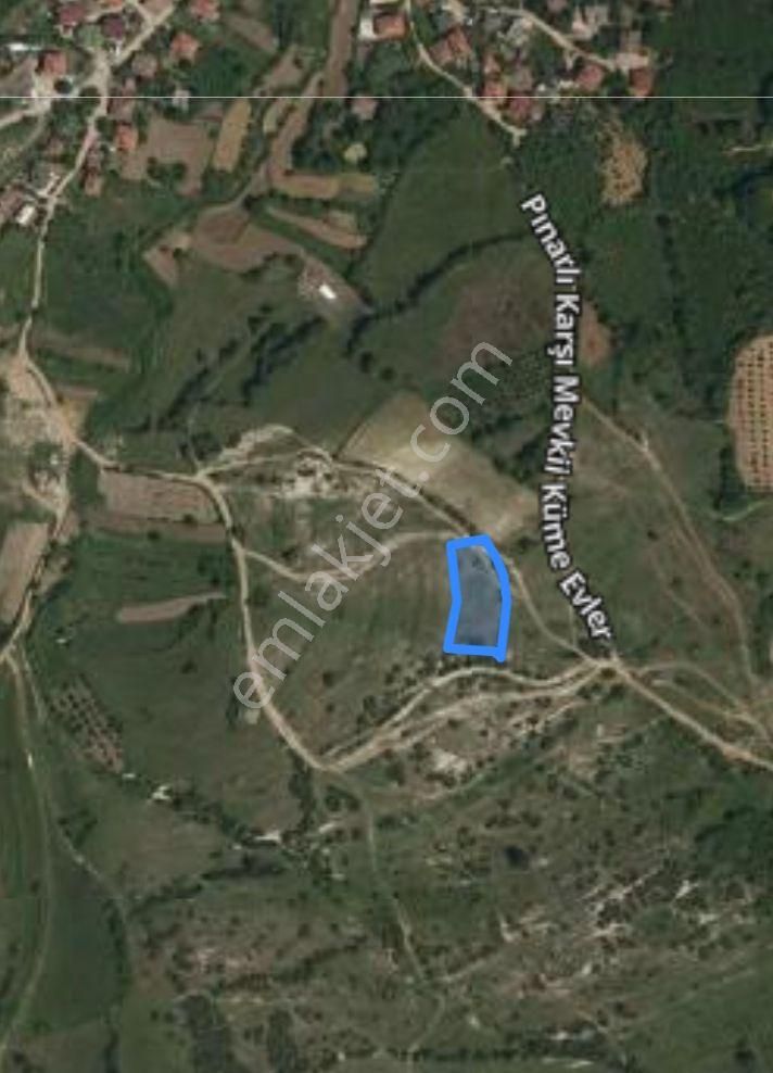 Pınarlı'da Köye Yakın (5dk.) Yola Cepheli Fırsat