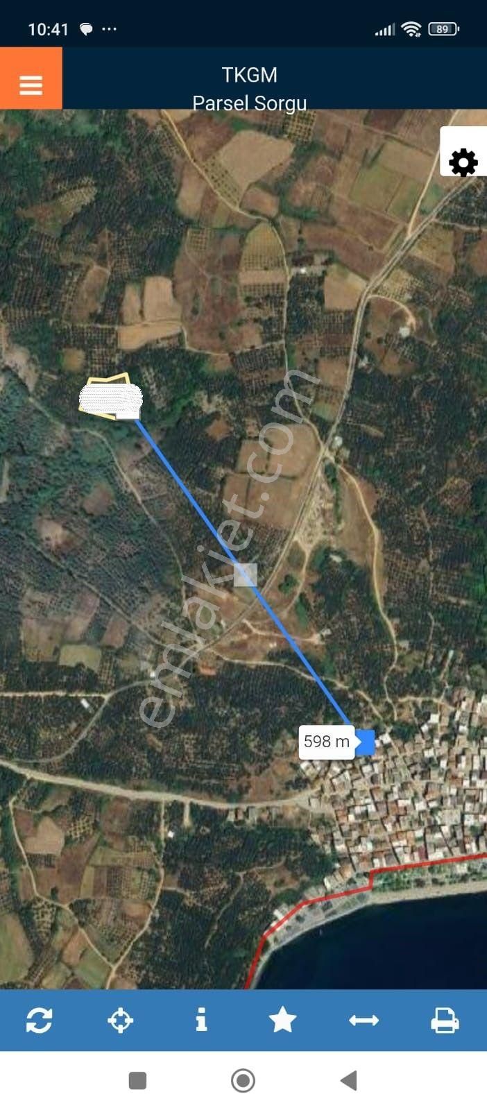 Erdek Karşıyaka Mahallesinde 2500 M2 Satılık Zeytinlik