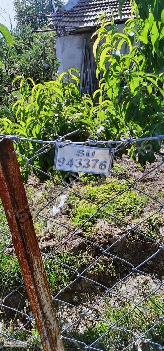Yeşilyayla'da Çitle Çevrili Bahçe