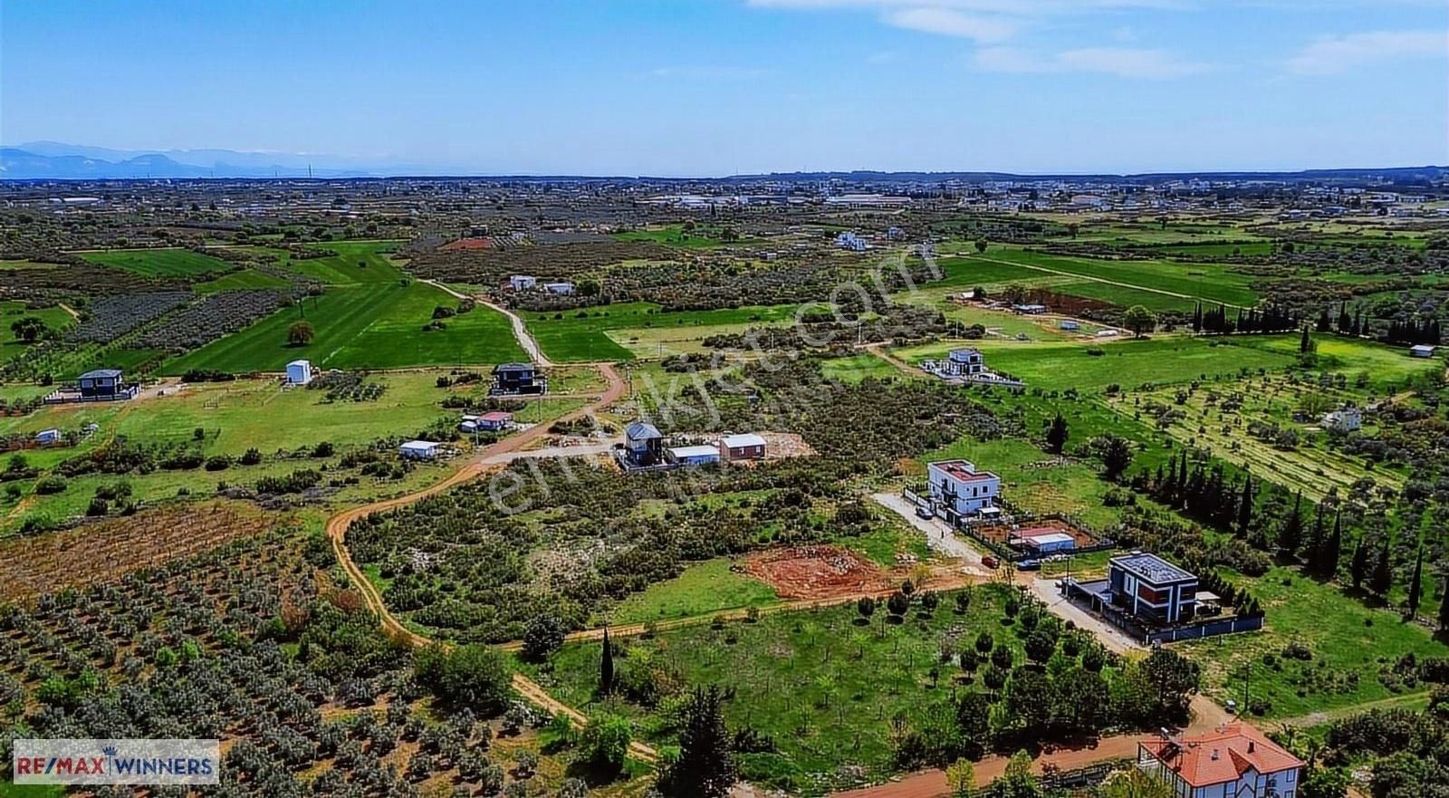 Çıplaklı Da Acil Satılık 990 M2 Villa Arsası