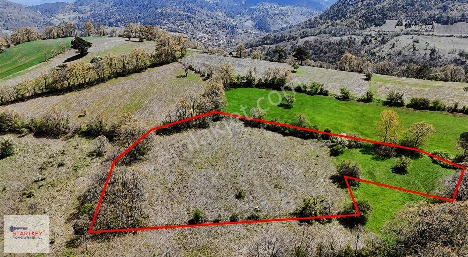 Startkey Yönden Kepsut Kızılolukta 7466 M² Müstakil Tarla
