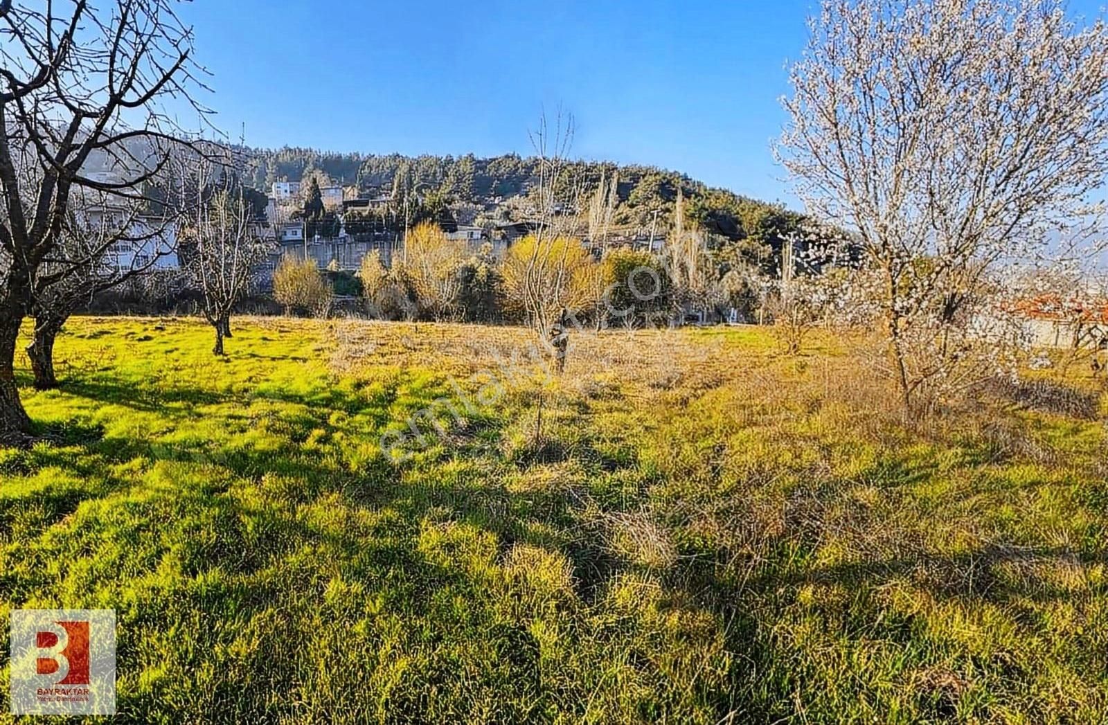 Kemalpaşa Kızılüzümde 3037 M2 Satılık İmarlı Fırsat Arsa.