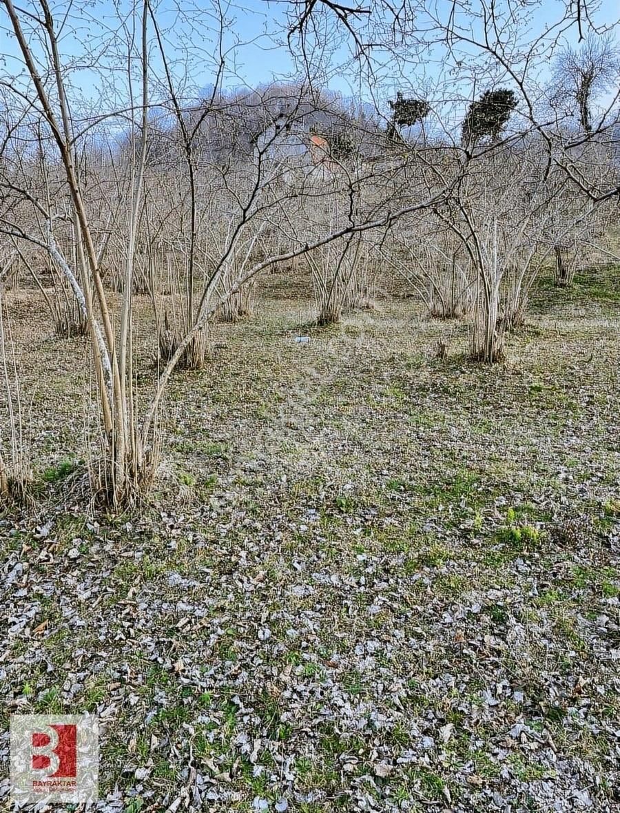 Arsin'de Satılık Arsa'lar.