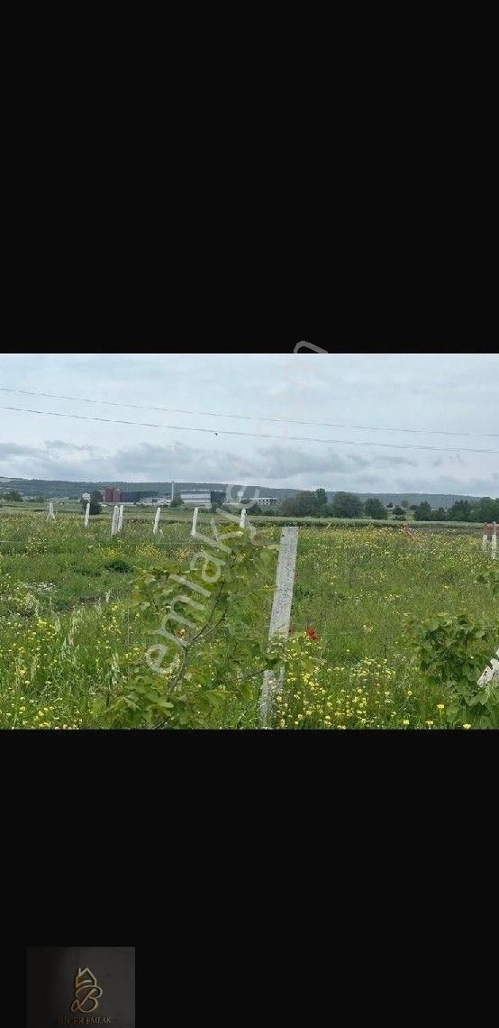 Kırklareli Vize Evrenli De Satılık Hisseli Arazi