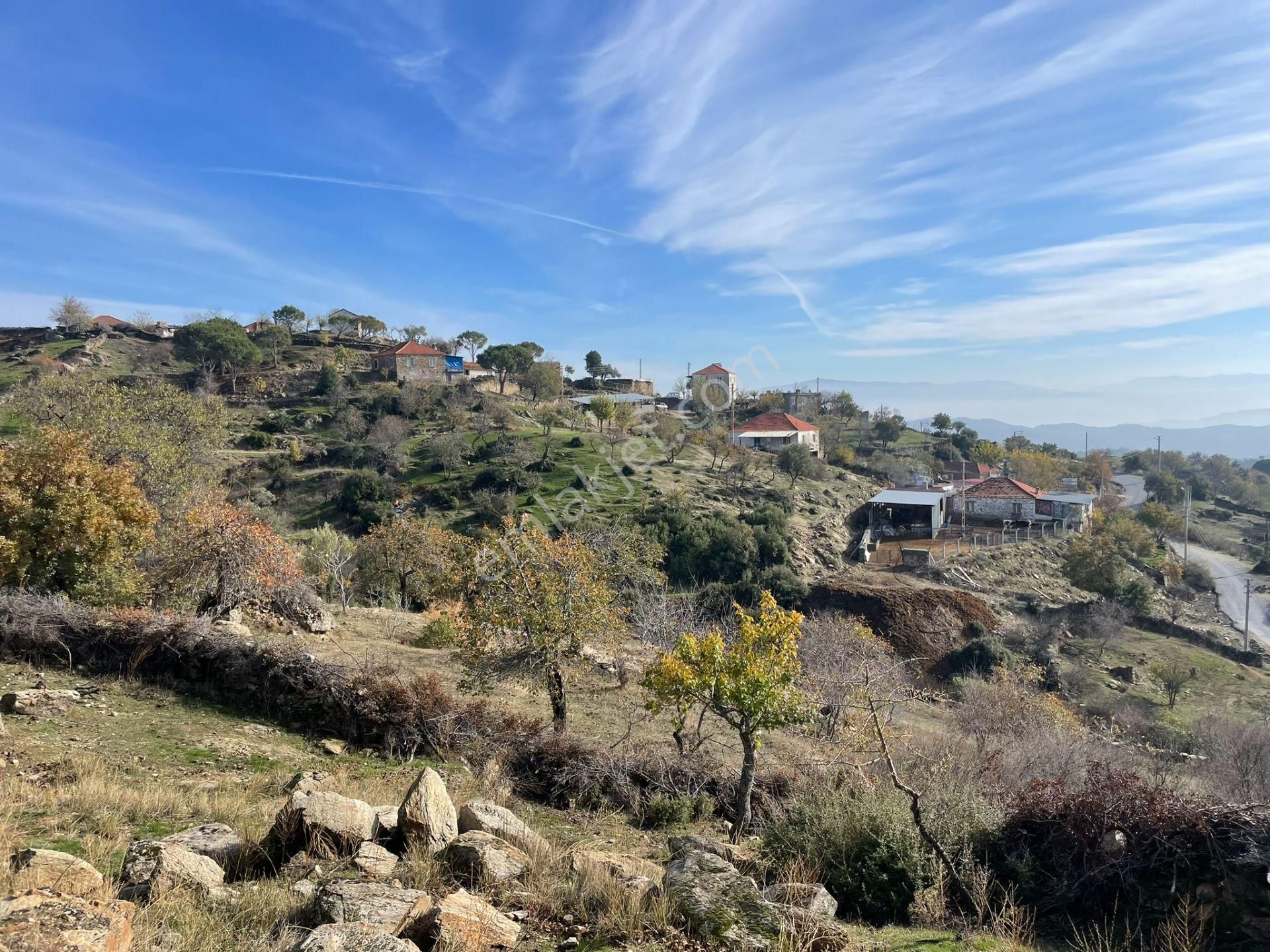 Koçarlı Karaağaçta Köyiçi, Resmi Yolu Olan Tarla - Görsel 9