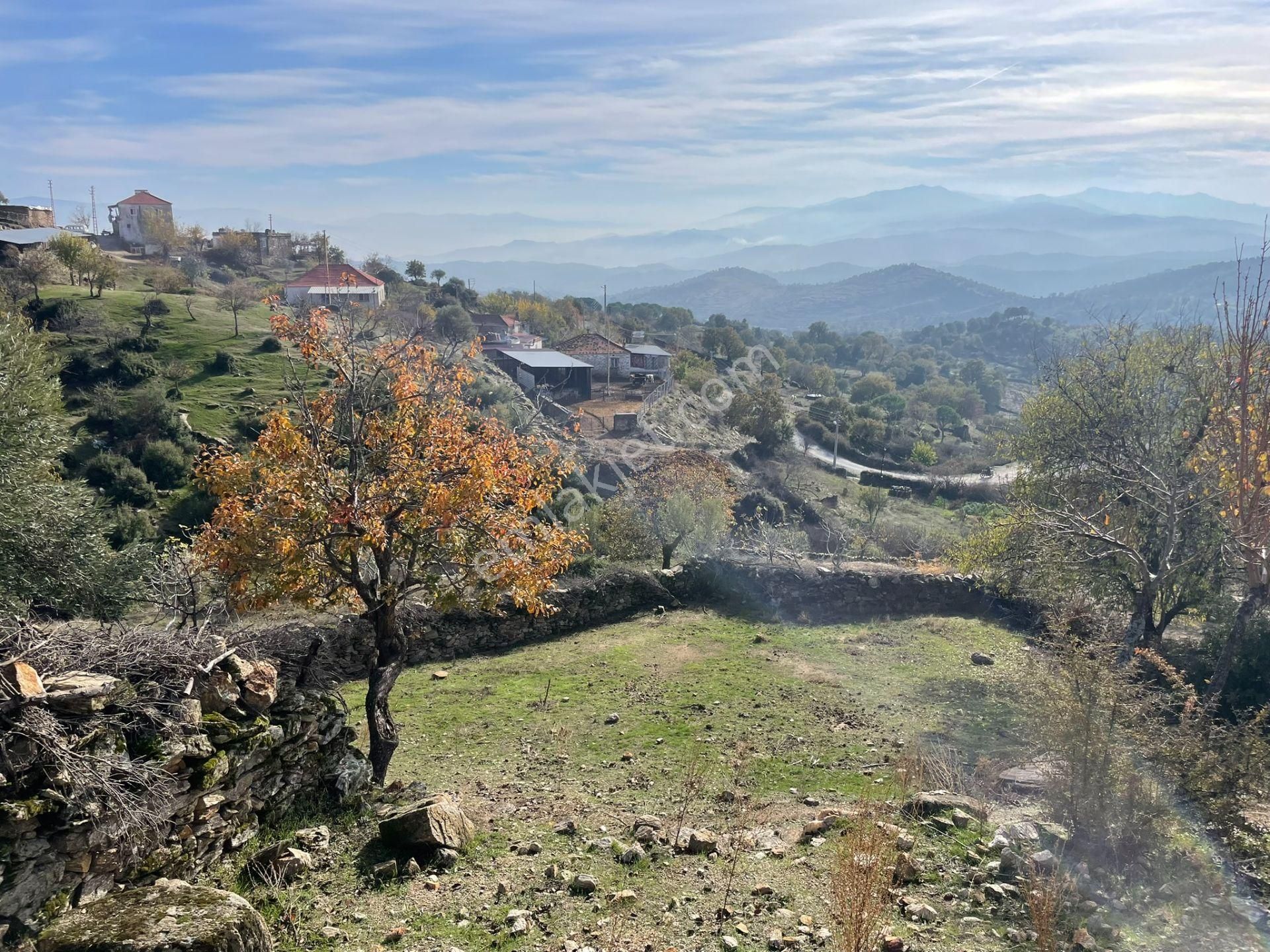 Koçarlı Karaağaçta Köyiçi, Resmi Yolu Olan Tarla - Görsel 8