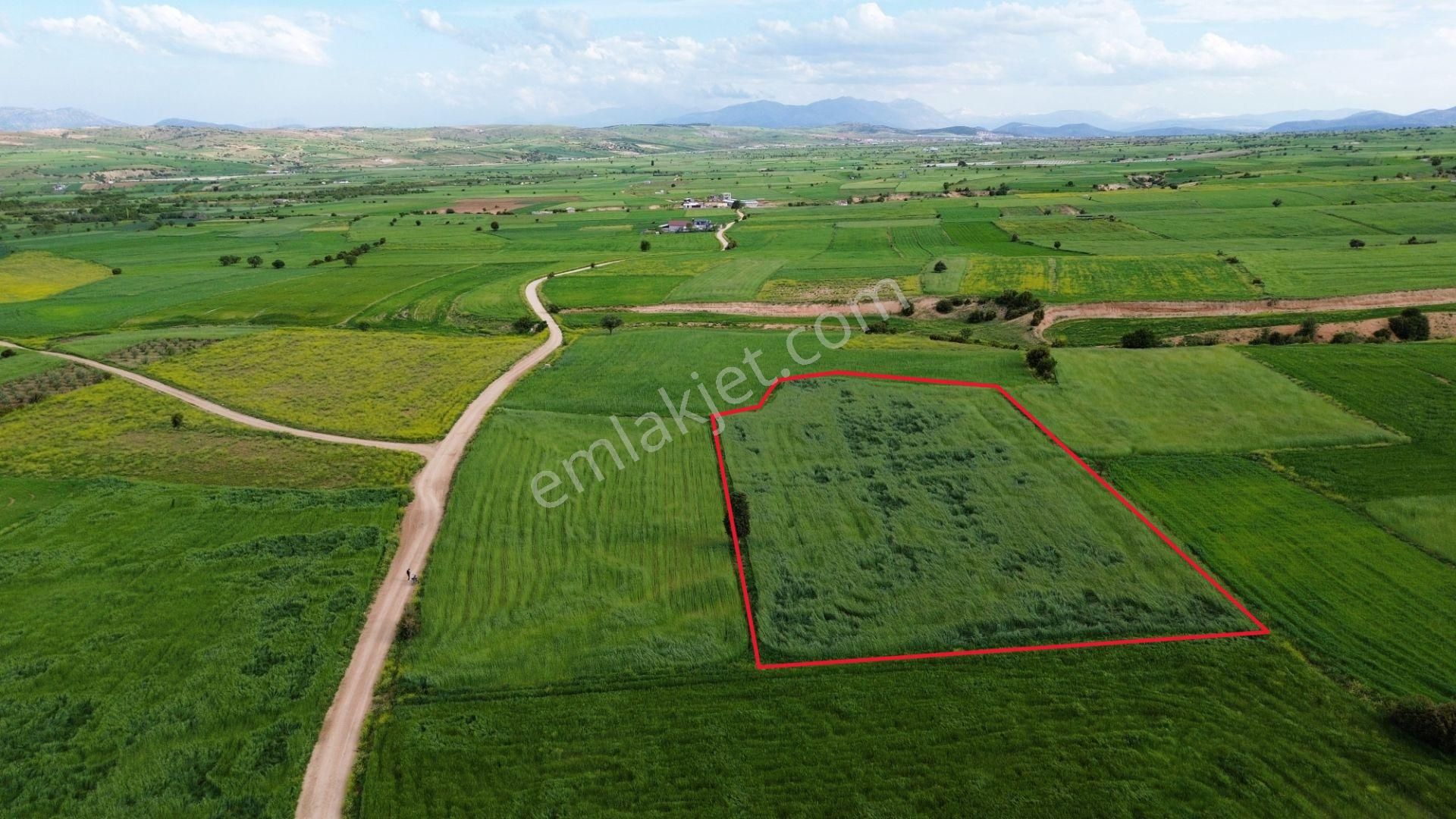 Korkuteli Yeltende 6.496 M2 Verimli Bahçe Yapımına Uygun Tarla - Görsel 8